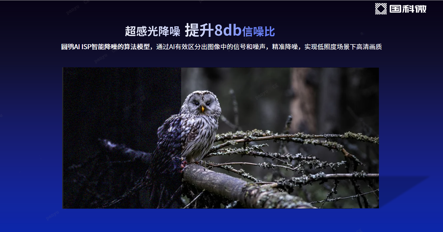 首页-SA视讯厅真人官方网站